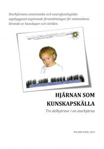 HJÄRNAN SOM KUNSKAPSKÄLLA, tre delhjärnor i en storhjärna av ROLAND SUND