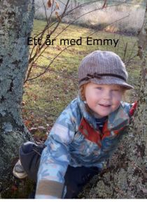 Ett år med Emmy av Anna Hedström