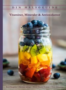 Din Hälsoguide - Vitaminer, Mineraler & Antioxidanter av Berit Bergklint, Kristine Arhage, Maria Å Persson, Petra Johansson