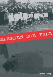 Spegeln som föll