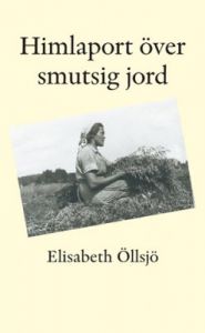 Himlaport över smutsig jord