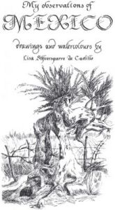 My observations of Mexico