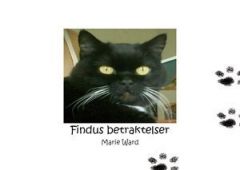 Findus betraktelser