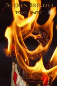 Bocken brinner! Eller det möjligaste som konst med Brynäskortet