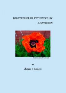 Berättelser ur ett stycke liv - Livstycken