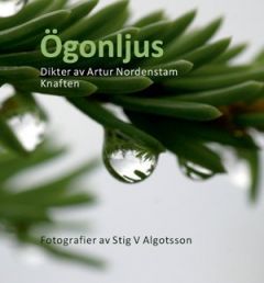 Ögonljus