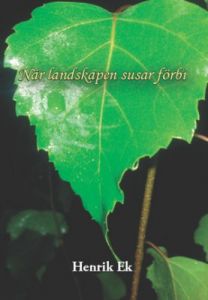 När landskapen susar förbi