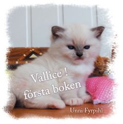 VALLICE, första boken