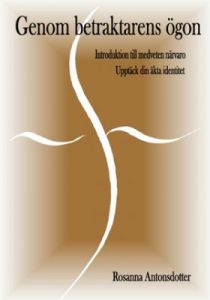 Genom betraktarens ögon