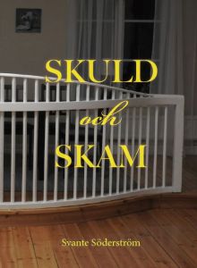 Skuld och skam