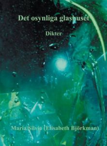 Det osynliga glashuset