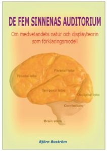 De fem sinnenas auditorium