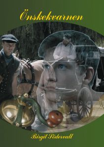 Önskekvarnen av Birgit Södervall