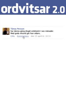 Ordvitsar 2.0 av Tåmas Persson