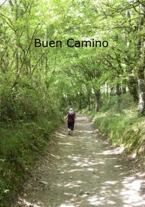 Buen Camino av Kjell Strömner