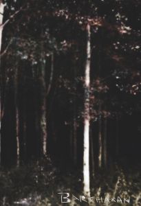 Barkhäxan av Pelle Nilsson