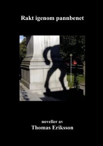 Rakt igenom pannbenet av Thomas Eriksson