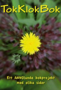 TokKlokBok av Anno Paananen