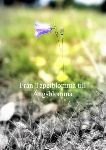 Från Tapetblomma till Ängsblomma av Ann-christine Landerberg
