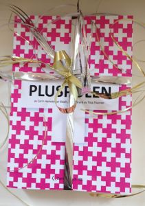 Pluspolen av Carin Hansdotter Bladh