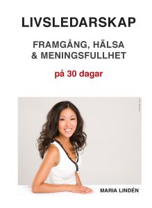Livsledarskap - Framgång, hälsa & meningsfullhet på 30 dagar av Maria Lindén