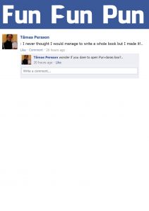 Fun Fun Pun av Tåmas Persson