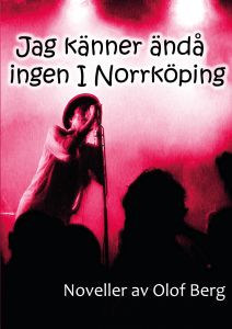 Jag känner ändå ingen i Norrköping av Olof Berg