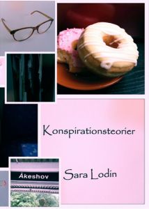 Konspirationsteorier av Sara Lodin