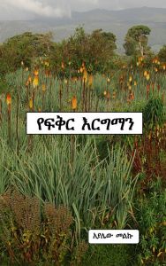 Kärlekens Förbannelse av Ayalew Melku