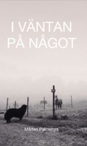 I väntan på något av Mårten Palmefors