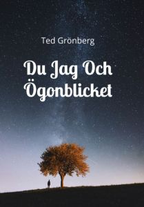 Du Jag Och Ögonblicket av Ted Grönberg
