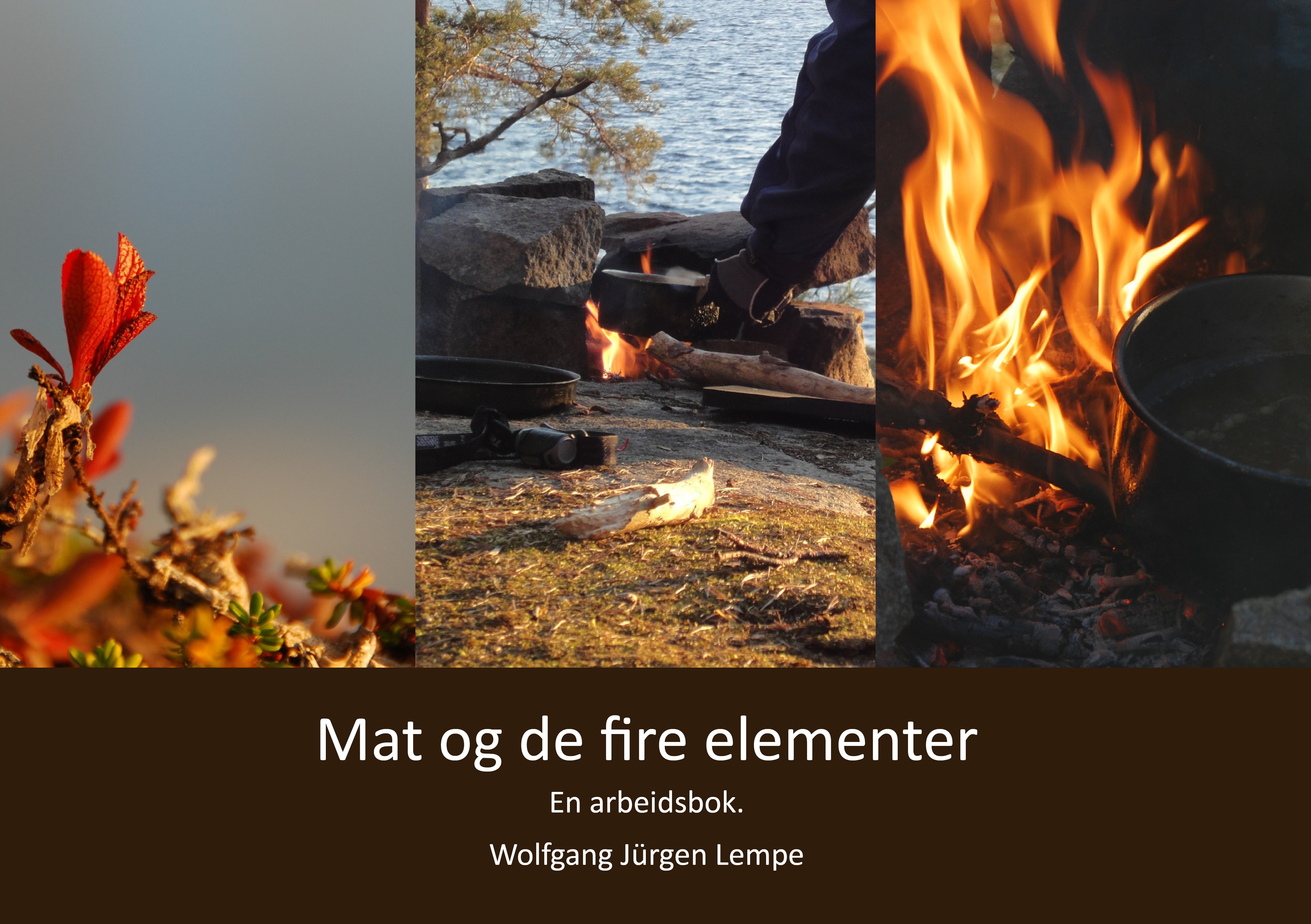 Mat og de fire elementer av Wolfgang Jürgen Lempe