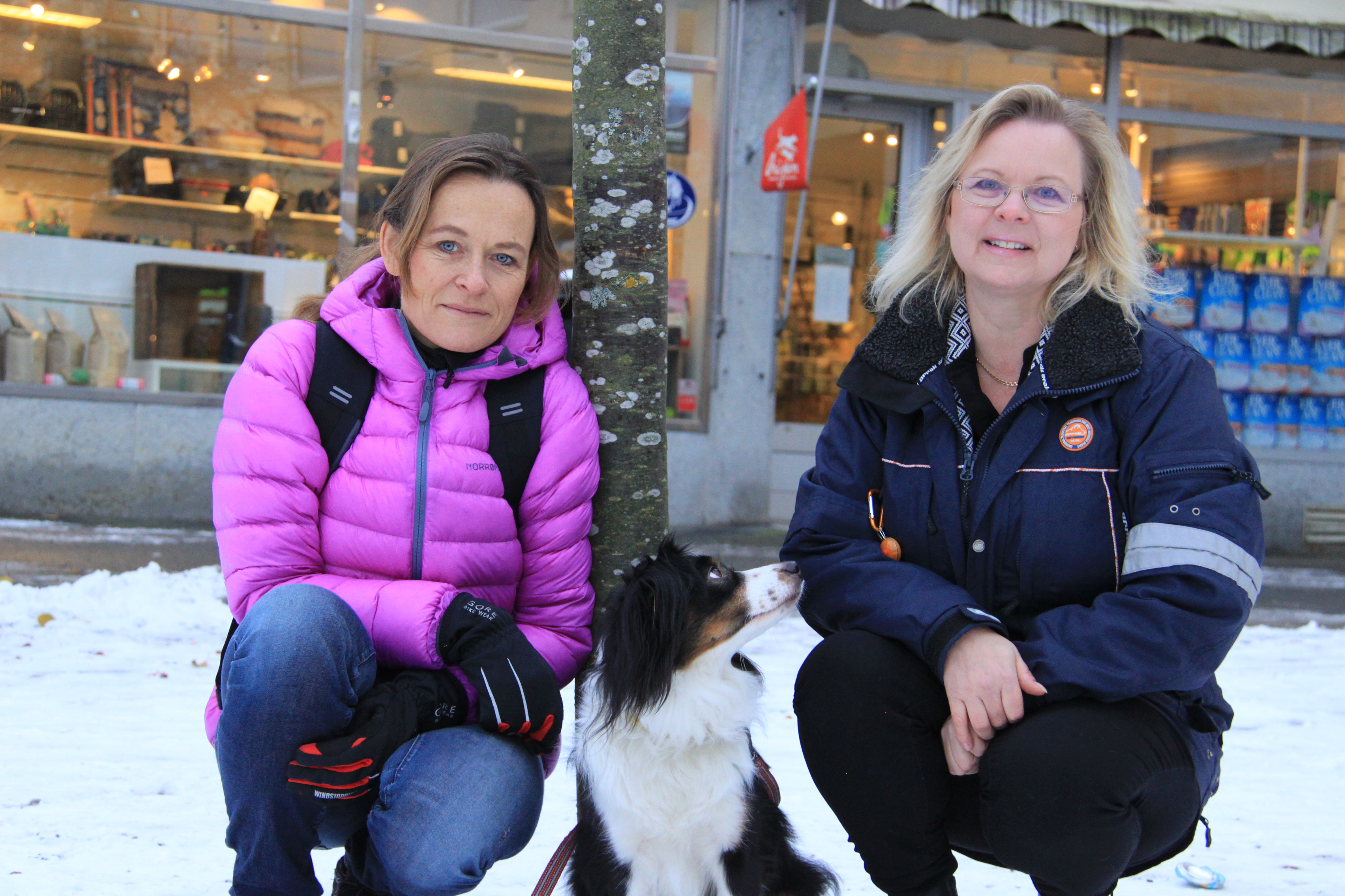 Valpinspiration – Det Goda Hundägarskapet av Mervi Kärki och Gunilla von Perner