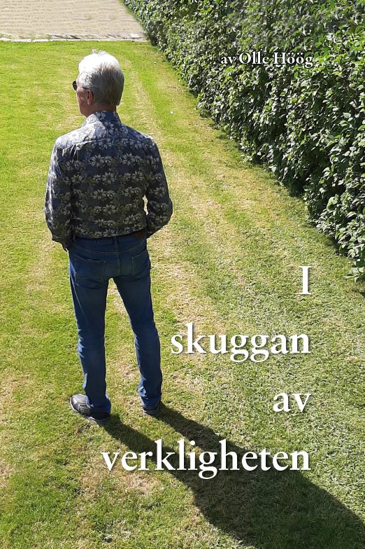 I Skuggan av Verkligheten av Sven-Olof Höög