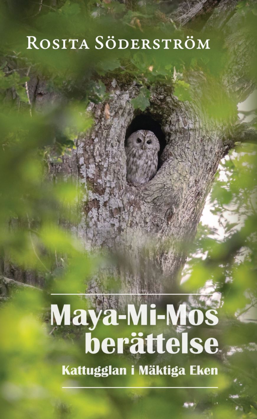 Maya-Mi-Mos berättelse - Kattugglan i Mäktiga Eken av Rosita Söderström