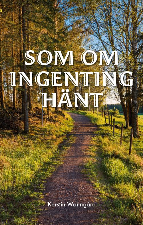 Som om ingenting hänt av Kerstin Wanngård